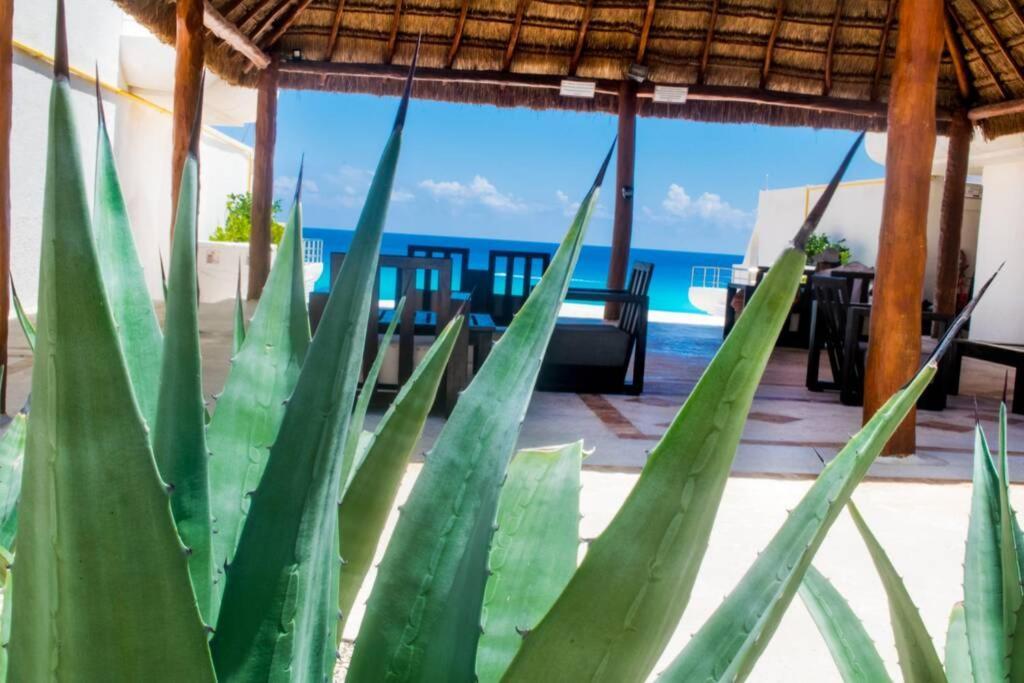 Villas Marlin 108, A Pie De Playa, Albercas, Jacuzi, Ubicacion Inmejorable Κανκούν Εξωτερικό φωτογραφία
